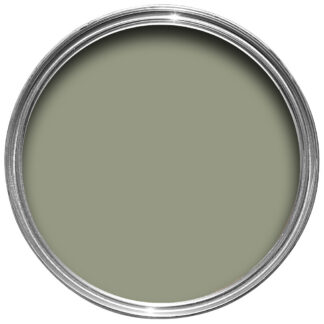 Lichen 19