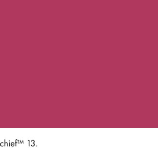Mischief 13