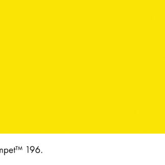 Trumpet 196