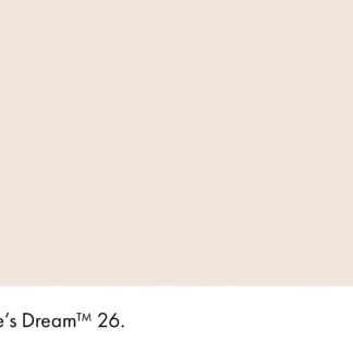 Julie's Dream 26