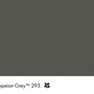 Pompeian Grey 293