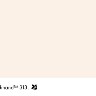 Ferdinand 313