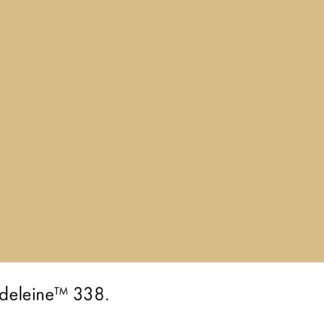 Madeleine 338