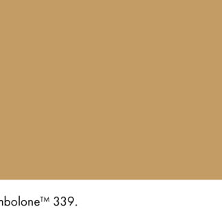 Bombolone 339