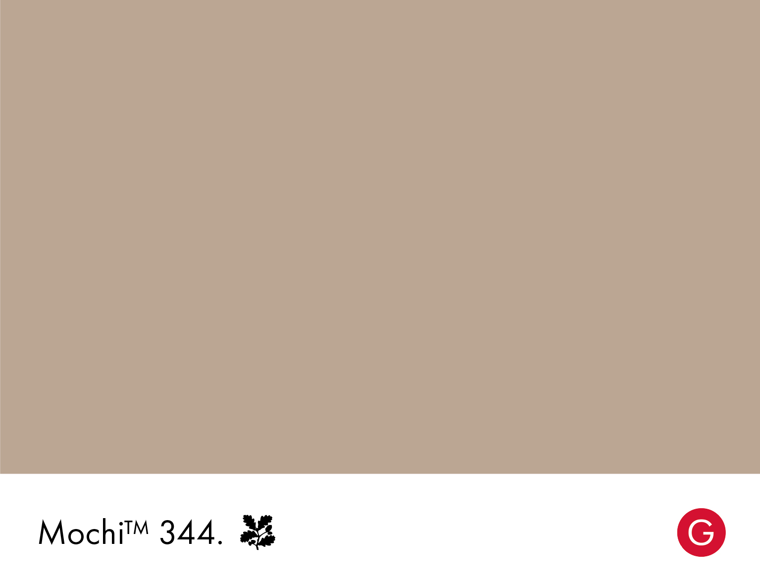 Mochi 344