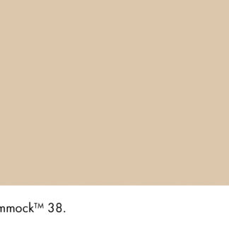 Hammock 38