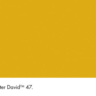 Mister David 47