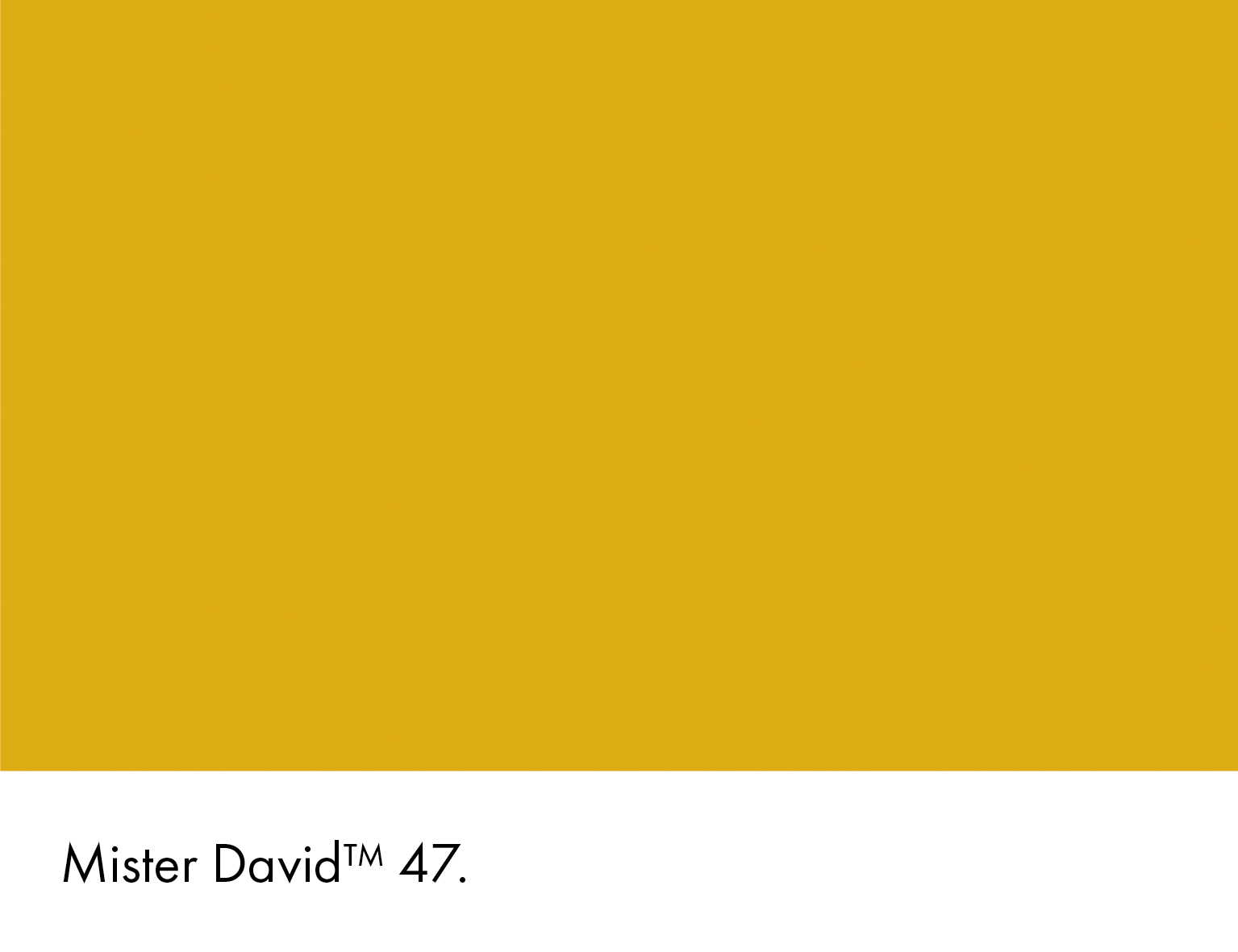 Mister David 47
