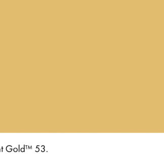 Light Gold 53