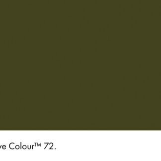 Olive Colour 72