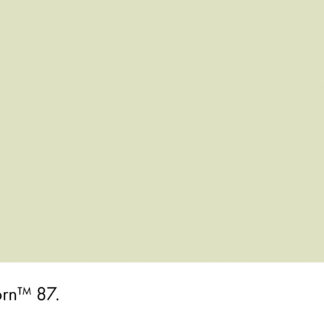 Acorn 87